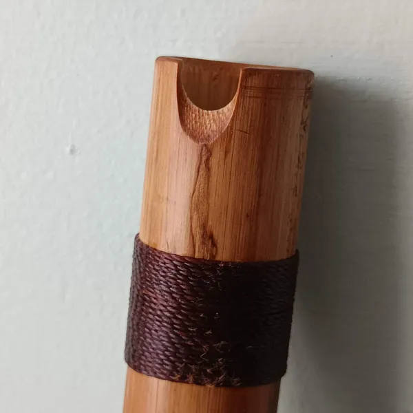 Vista embocadura y escotadura