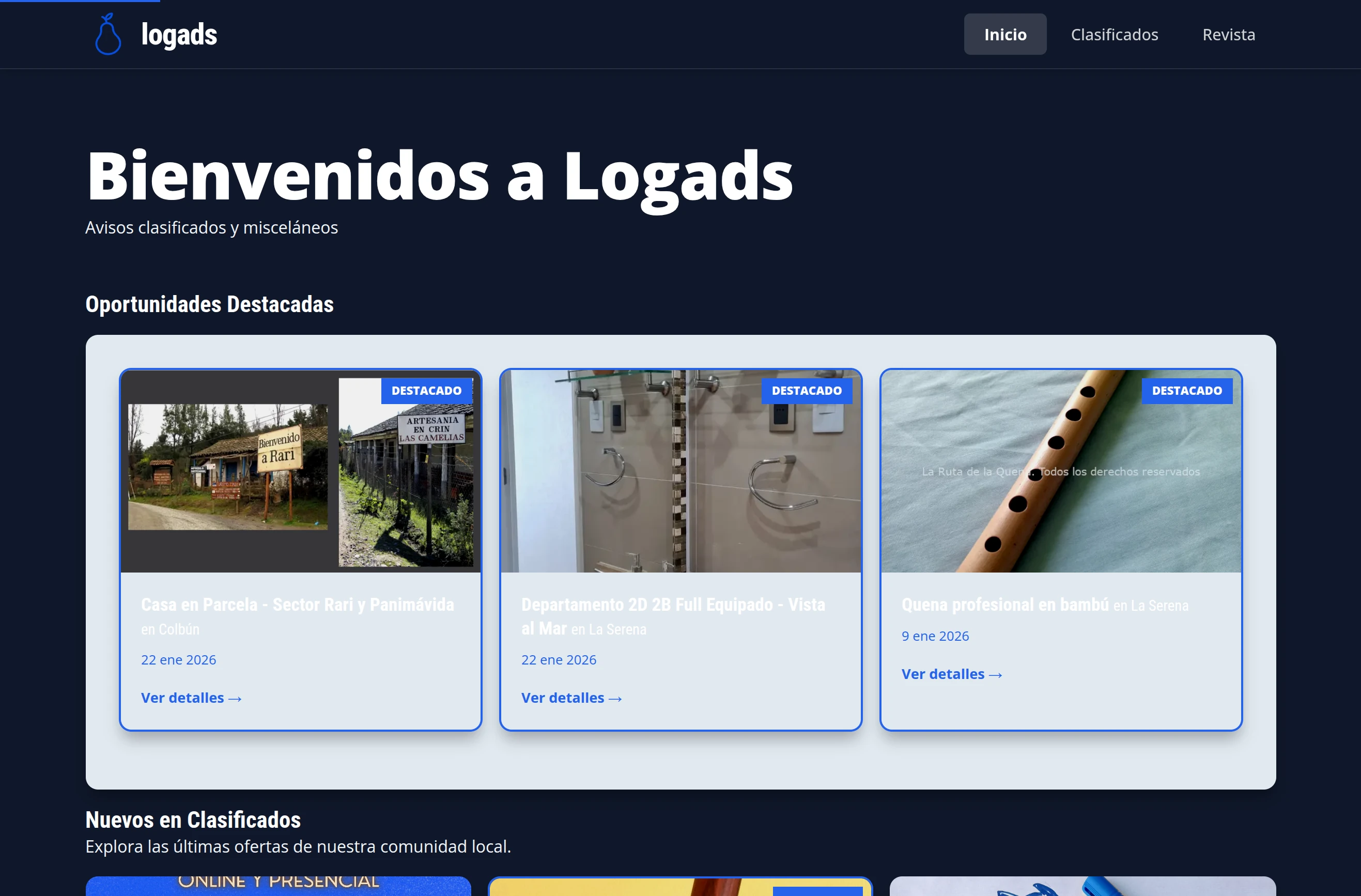 Captura de pantalla del portal Logads.cl mostrando su diseño limpio y funcional